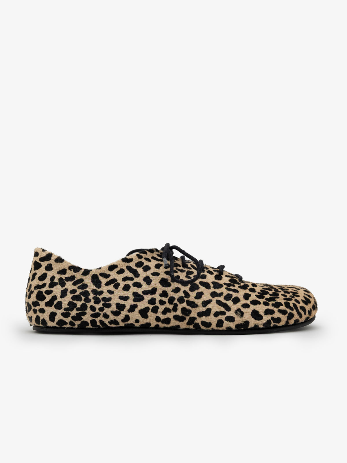Blucher Koli Gazelle Root