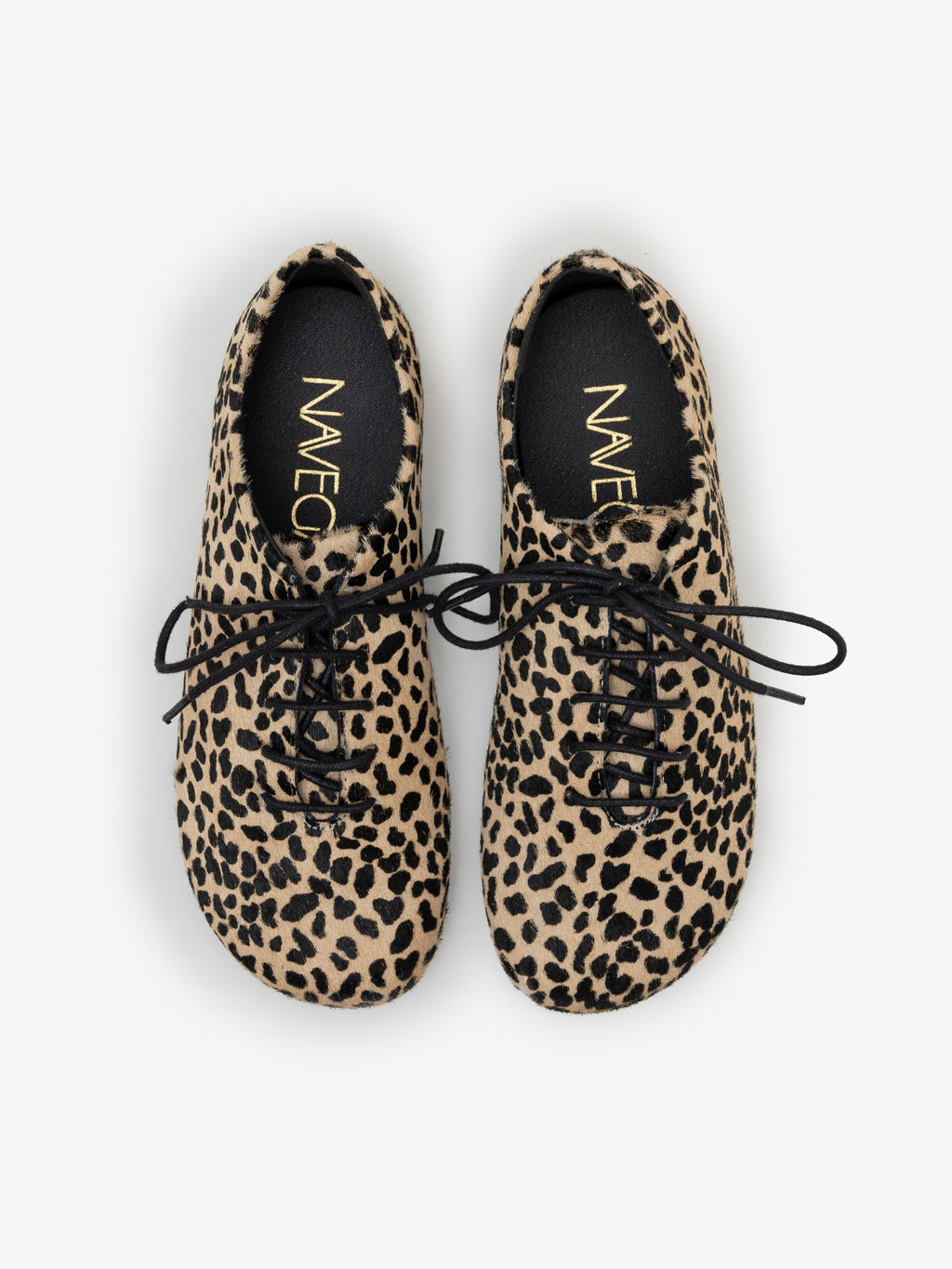 Blucher Koli Gazelle Root