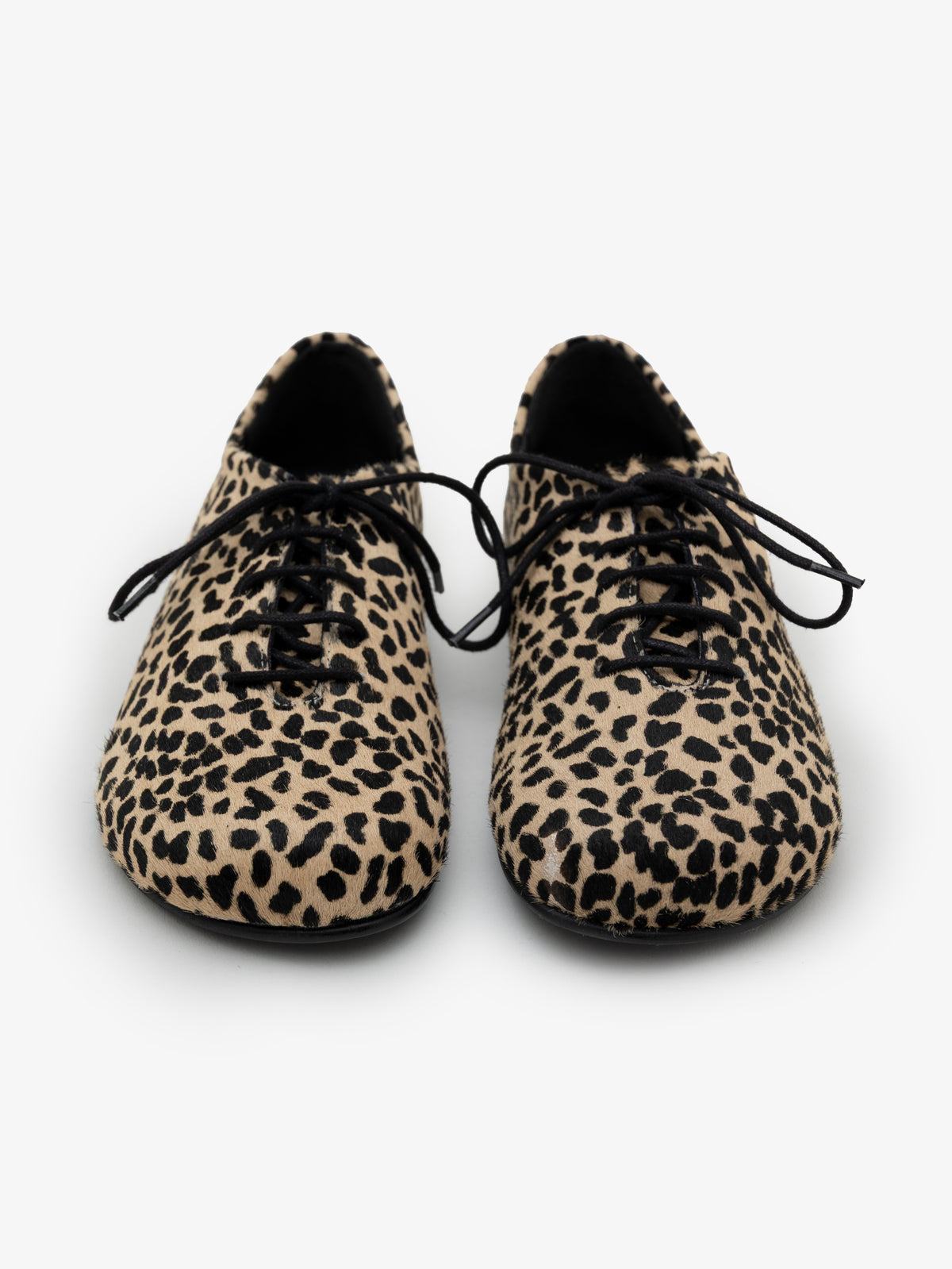 Blucher Koli Gazelle Root