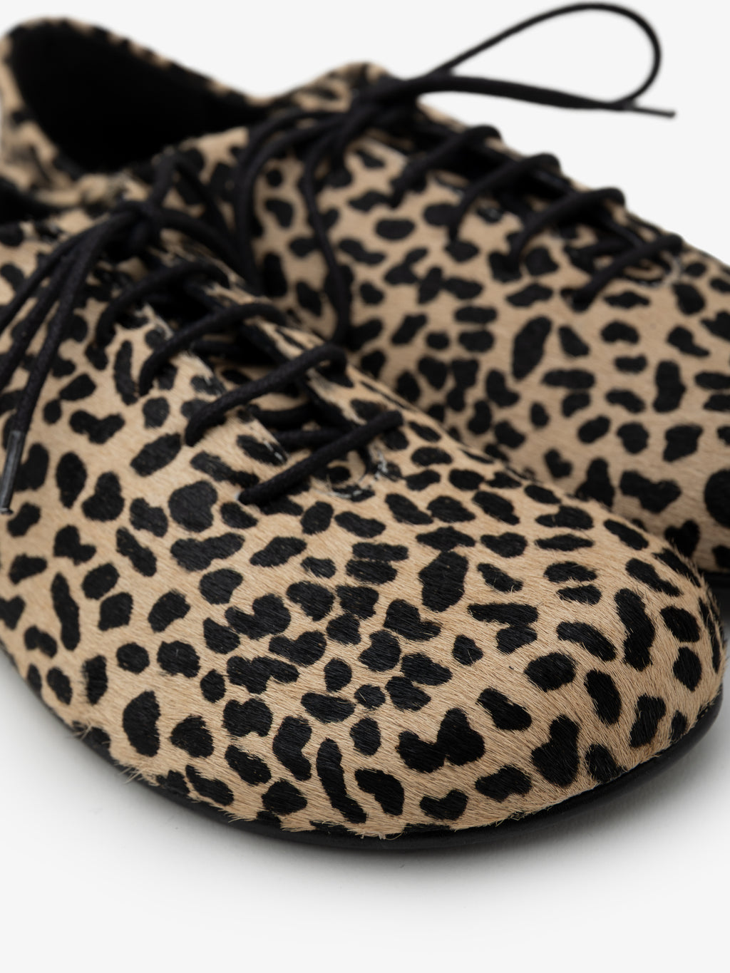 Blucher Koli Gazelle Root