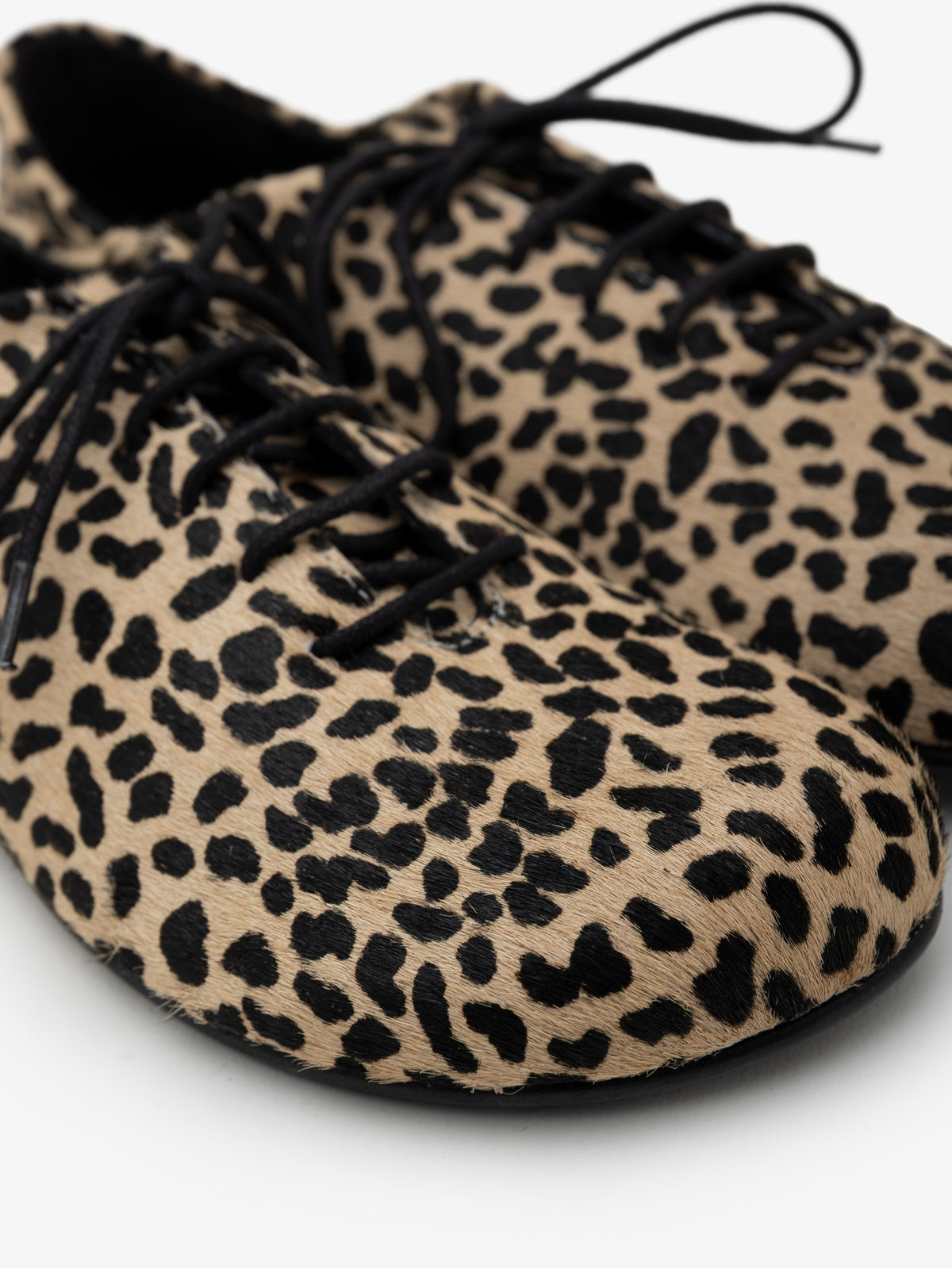 Blucher Koli Gazelle Root