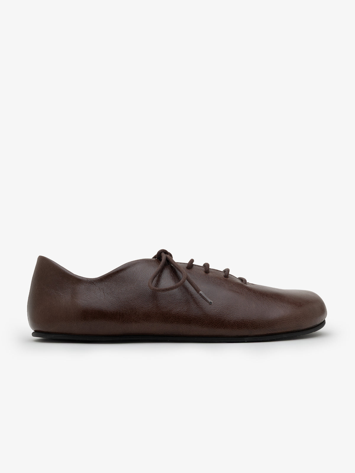 Blucher Koli Cocoa