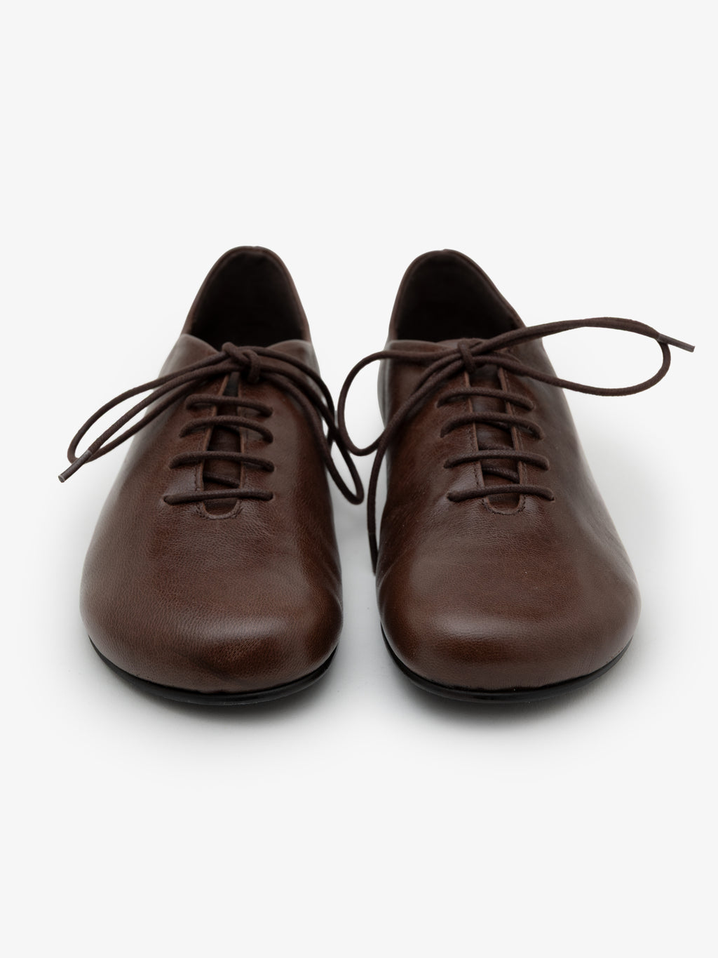 Blucher Koli Cocoa