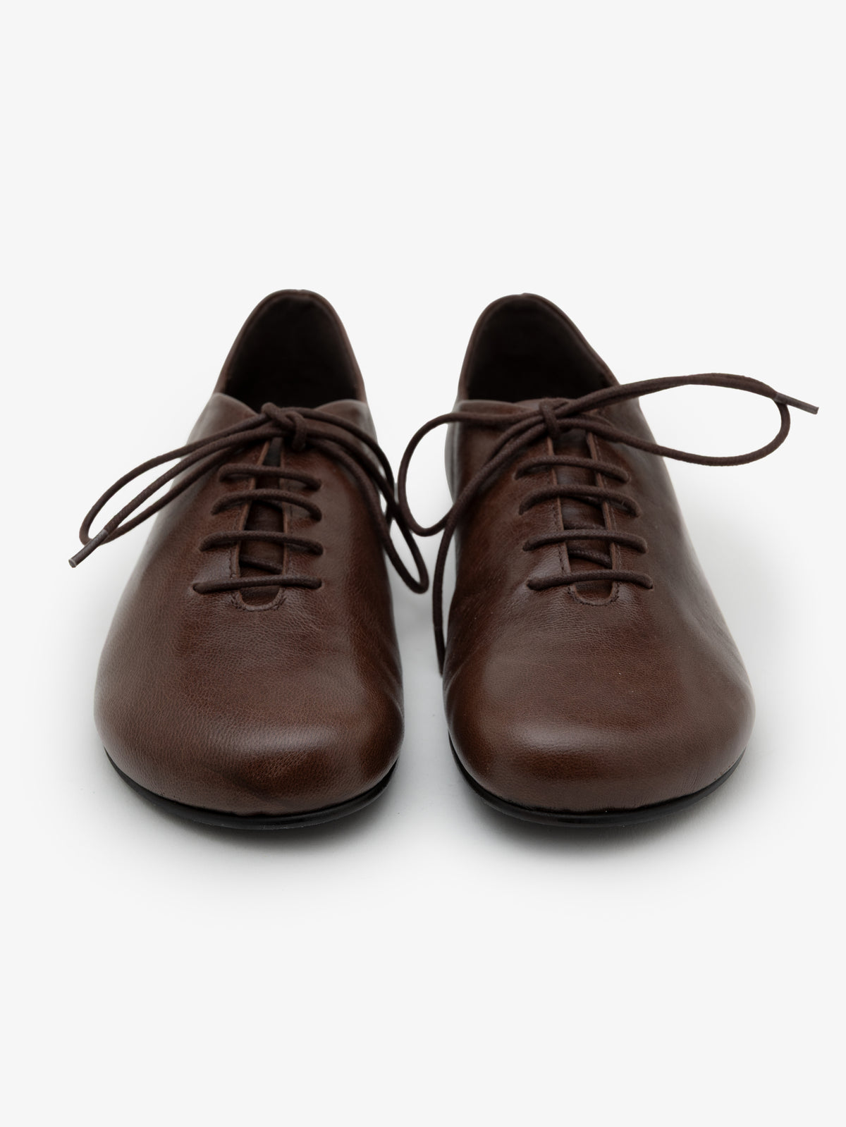 Blucher Koli Cocoa
