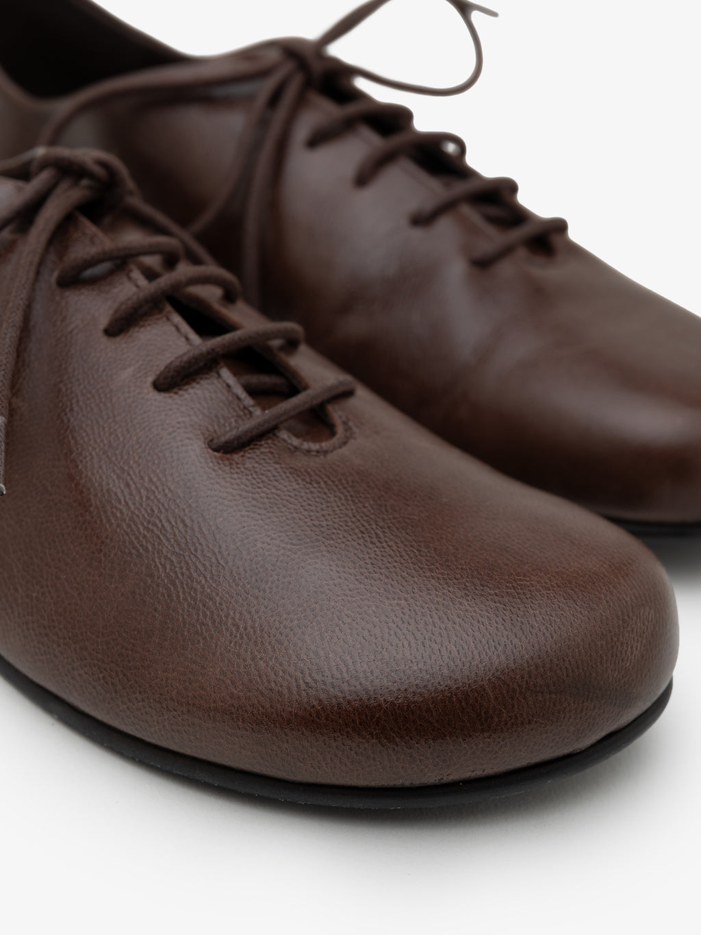 Blucher Koli Cocoa
